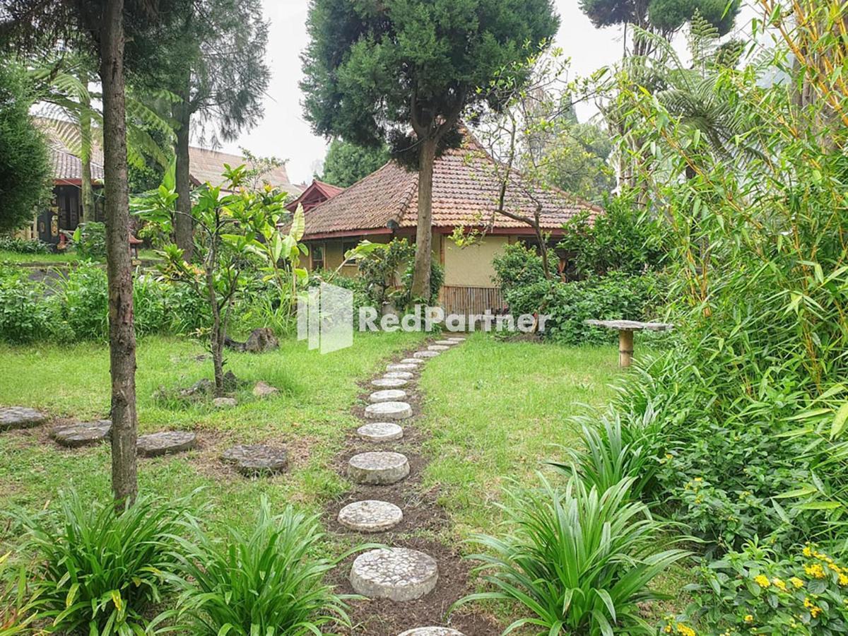 Hotel Yoschi'S Bromo At Desa Wisata Bromo Exterior photo